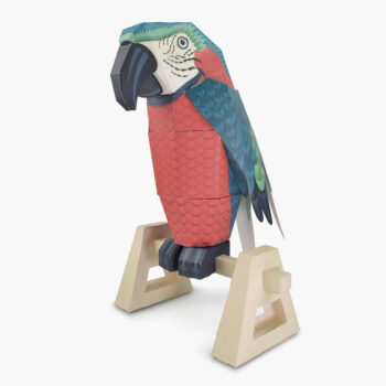 Alternative view of Parrot on a Perch