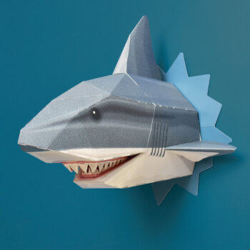 Alternative view of Snappy Shark