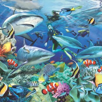 Alternative view of Reef Sharks 500 Piece 3D Puzzle