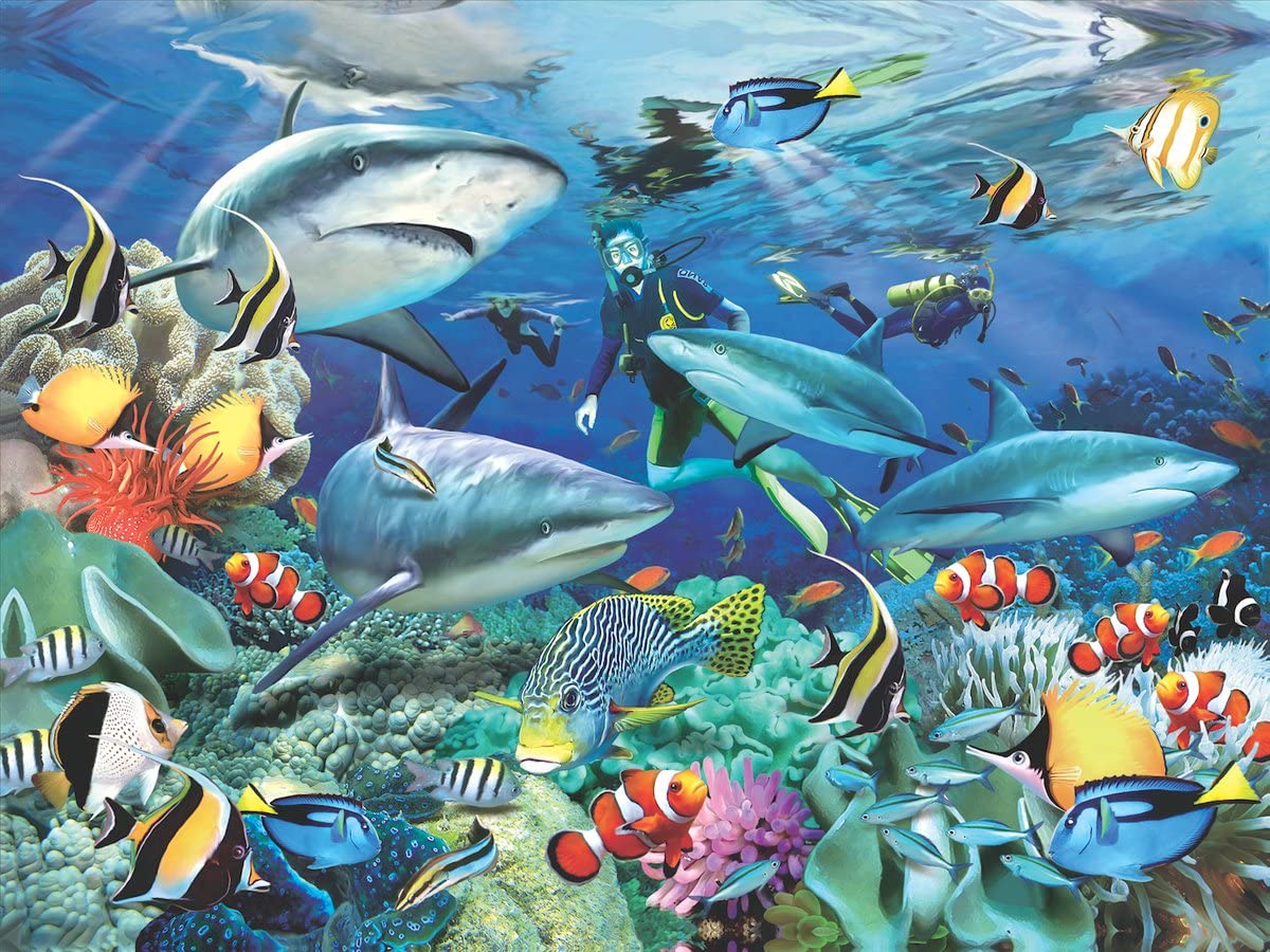 Reef Sharks 500 Piece 3D Puzzle - Image 2