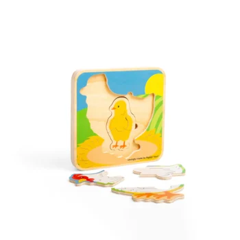 Alternative view of Chicken Lifecycle Layer Puzzle