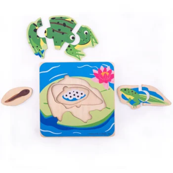 Alternative view of Frog Lifecycle Layer Puzzle