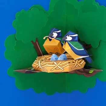 Alternative view of Beautiful Blue Tit Nest