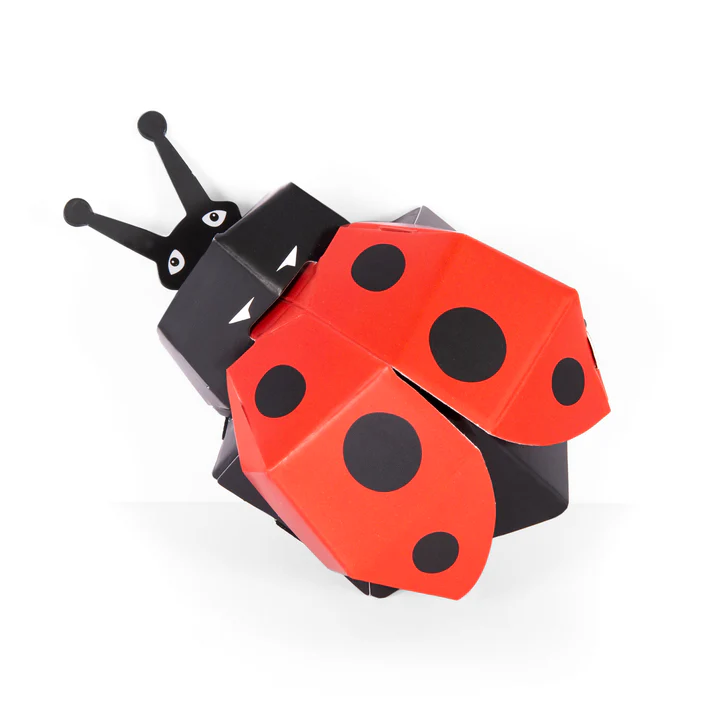 Create Your Own Lovely Ladybird - Image 3