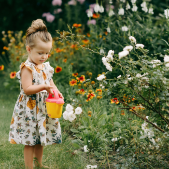 Outdoor & Garden Toys